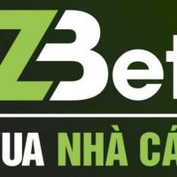 Zbet | Địa Chỉ Quen Thuộc Của Các Bet Thủ